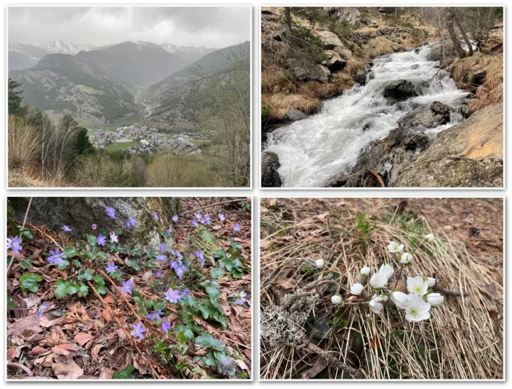 Les premiers signes du printemps se montrent tout juste dans les hautes vallées du Madriu et d'Ordino, en Andorre