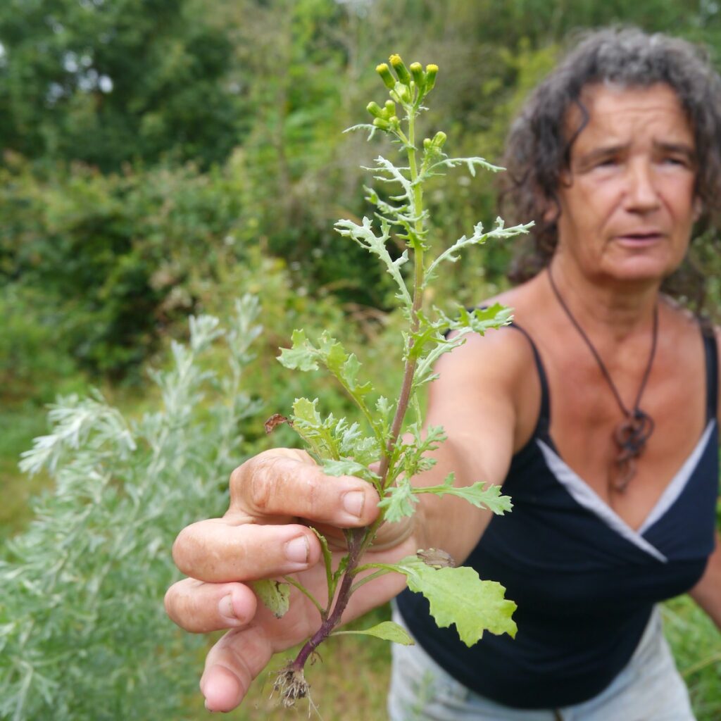 Monique Forestié présente toutes ses plantes, au fil des saisons